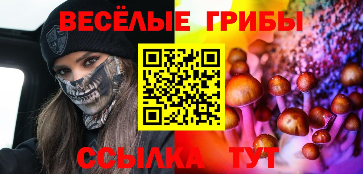 Галлюциногенные грибы Psilocybe Шали